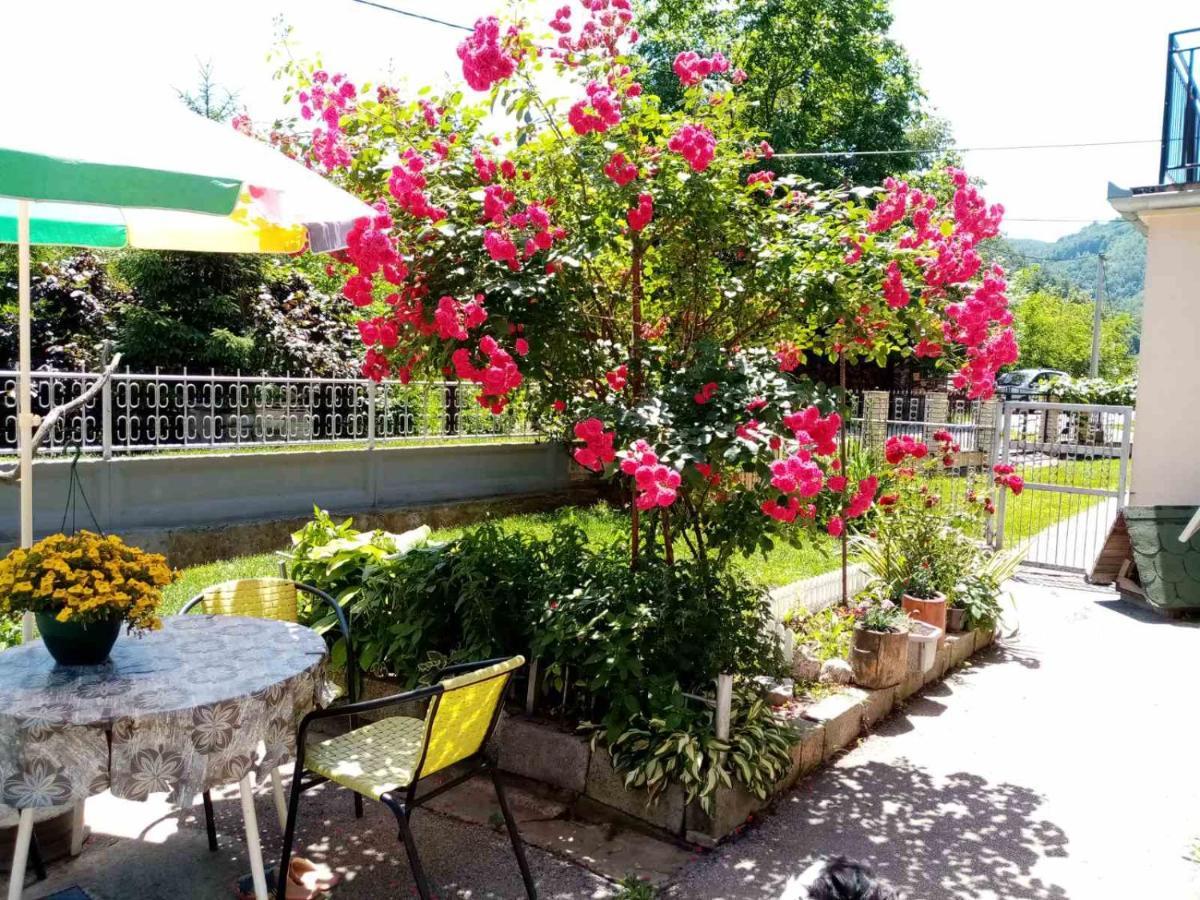 Apartman Vesna 오브차르 바냐 외부 사진