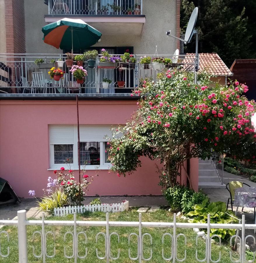 Apartman Vesna 오브차르 바냐 외부 사진