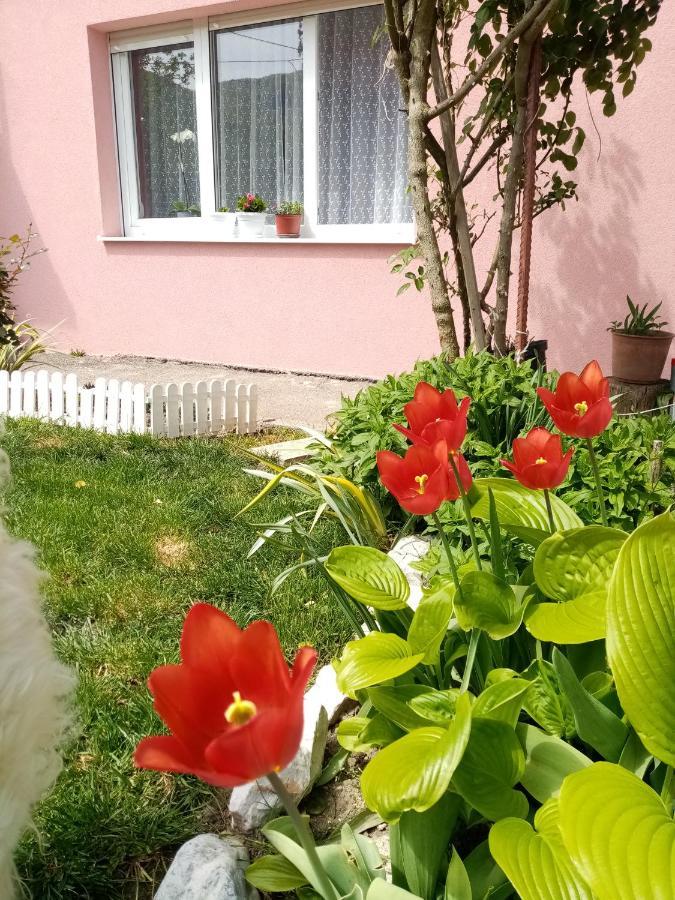 Apartman Vesna 오브차르 바냐 외부 사진